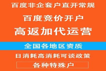 行业领先企业的sem账户竞价运营策略